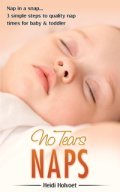 Nap in a Snap book cover