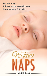 Nap in a Snap book cover