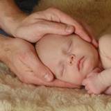 Baby head in osteopath hands