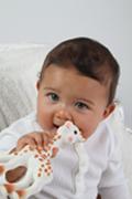 Teething toy thumbnail